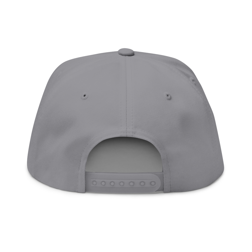 Gray cap back view on a white background
