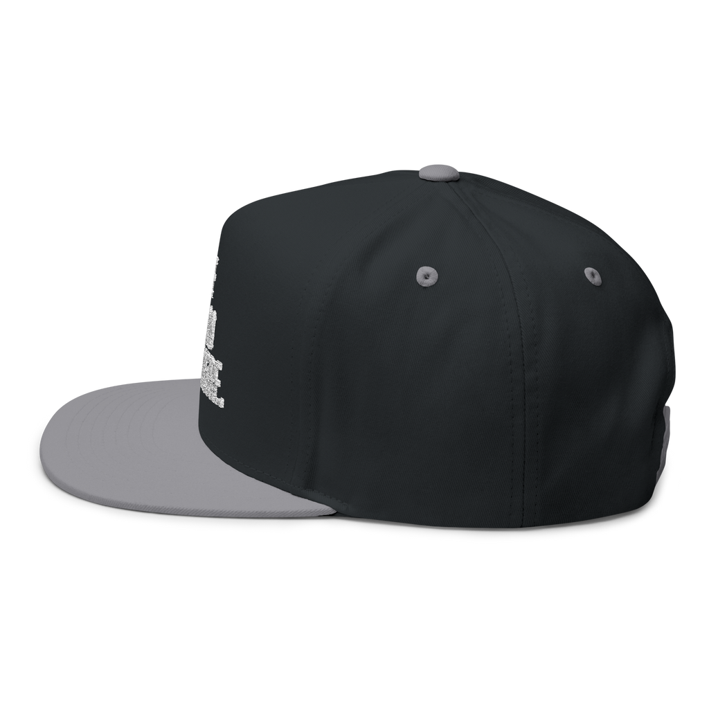 Black and gray cap on a white background