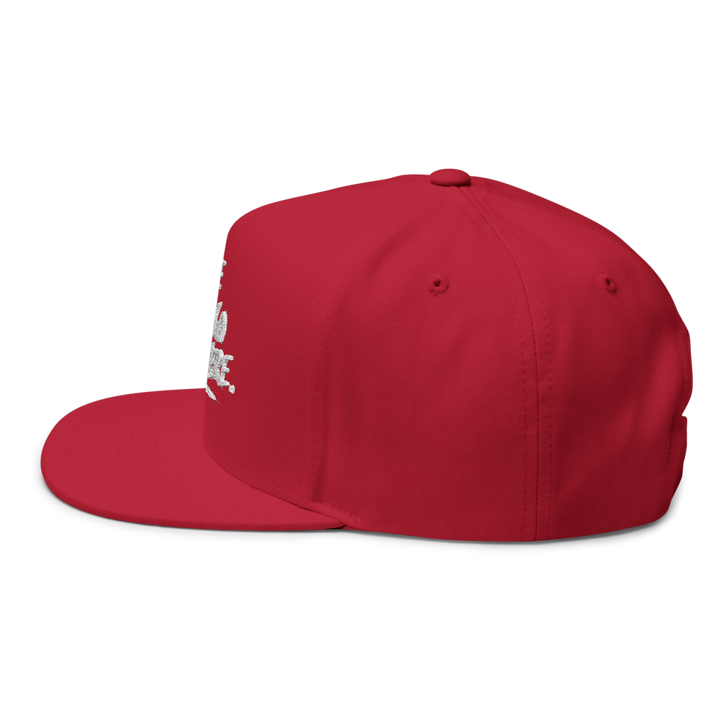 We Can Go Anywhere Embroidered Snapback