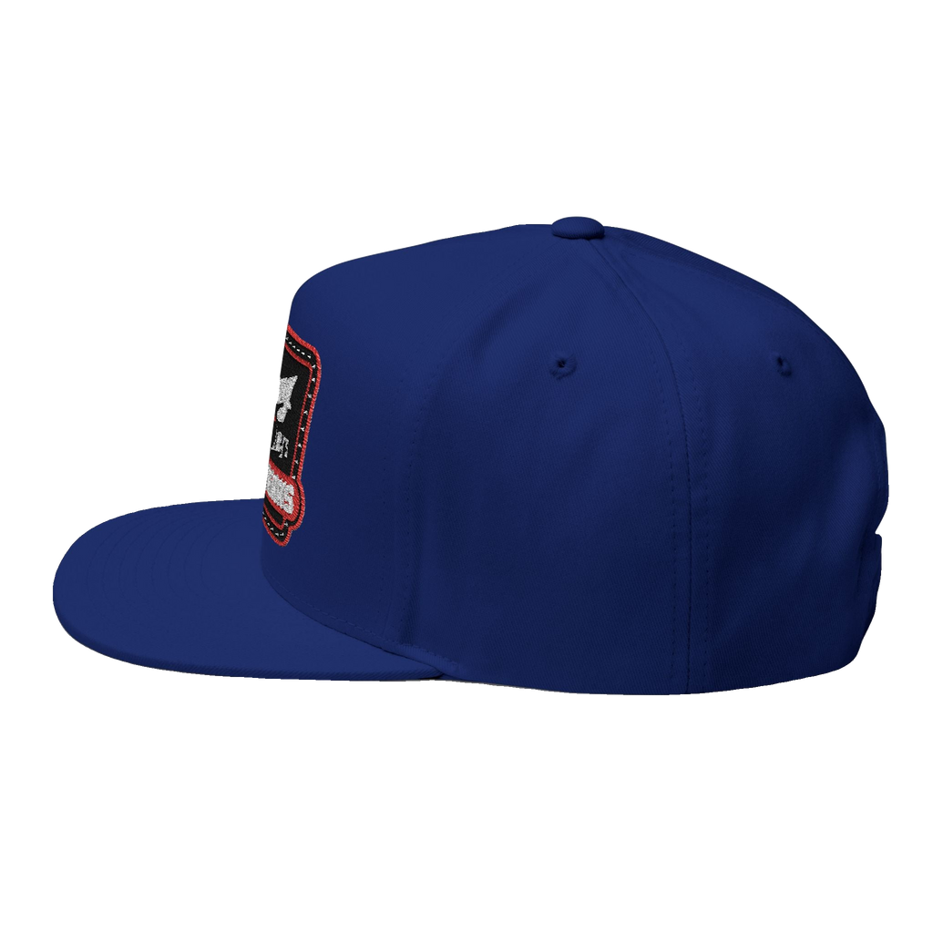 Skinny Joey's embroidered flat bill cap, gallery photo 22, Philadelphia streetwear