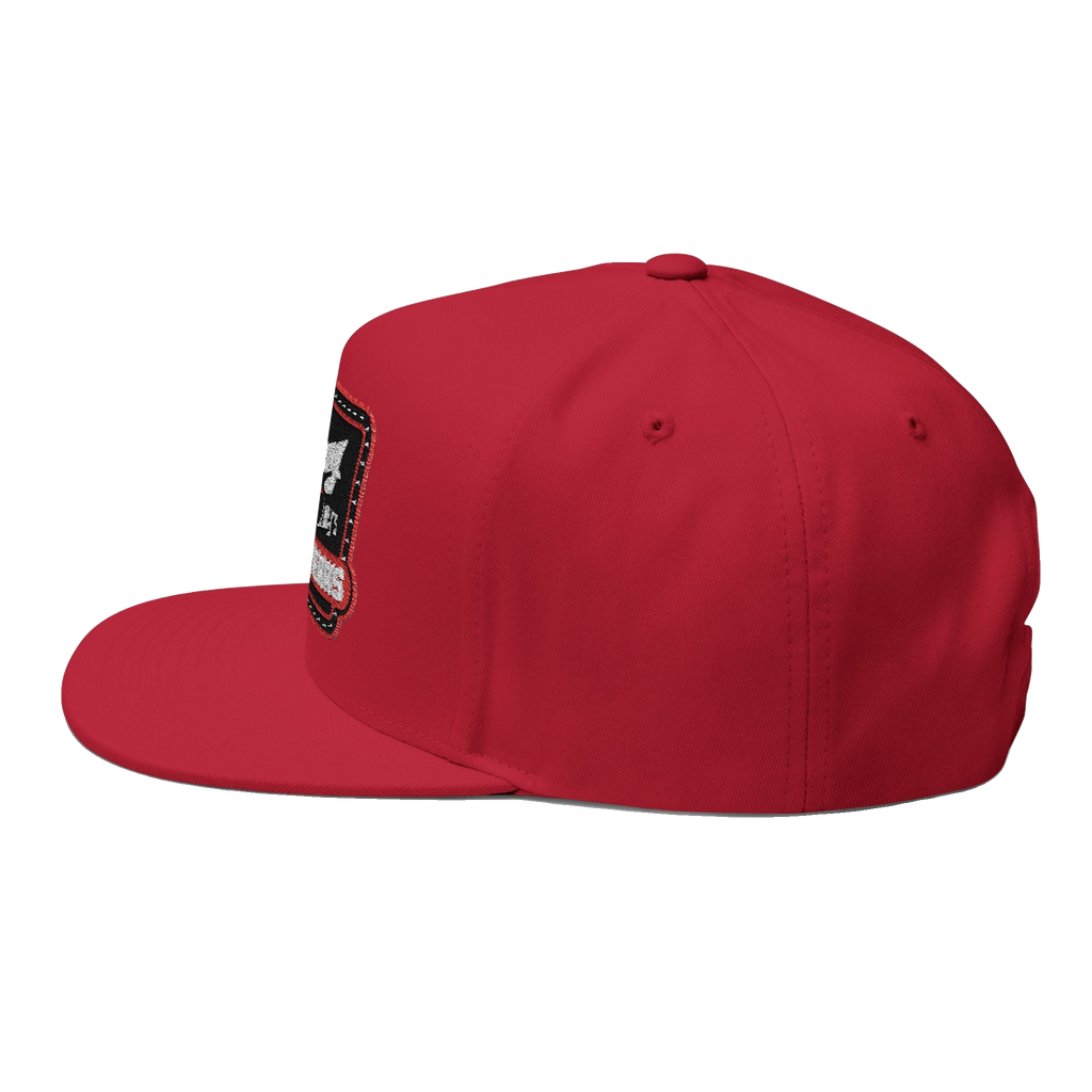 Skinny Joey's embroidered flat bill cap, gallery photo 28, South Philly streetwear