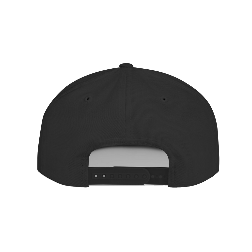 Skinny Joey's flat bill snapback hat, gallery photo 18, Philadelphia streetwear