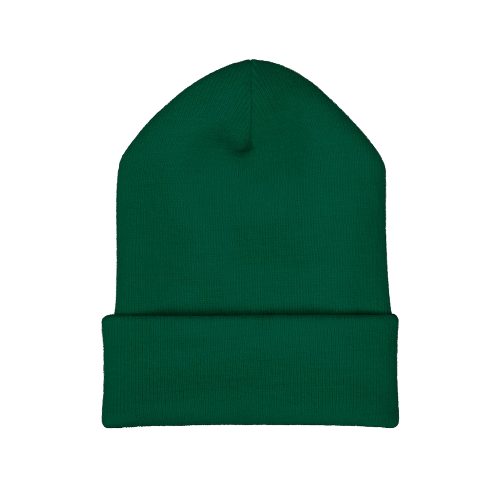 The Skinny embroidered cuffed beanie, South Philly streetwear