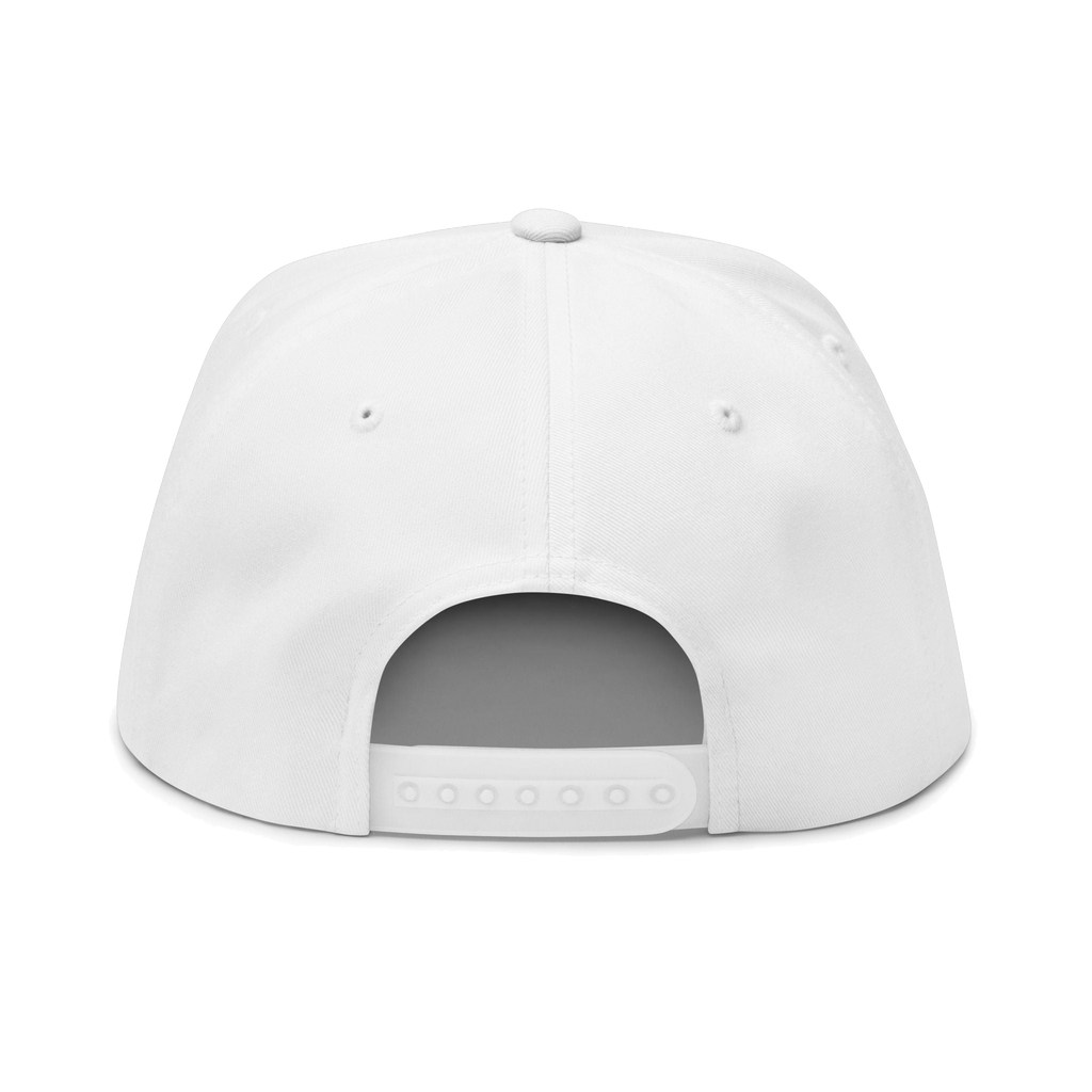 Skinny Joey's classic edition flat bill cap, Philly culture apparel