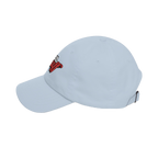 Lil Snuff dad cap, gallery photo 14, Philadelphia streetwear